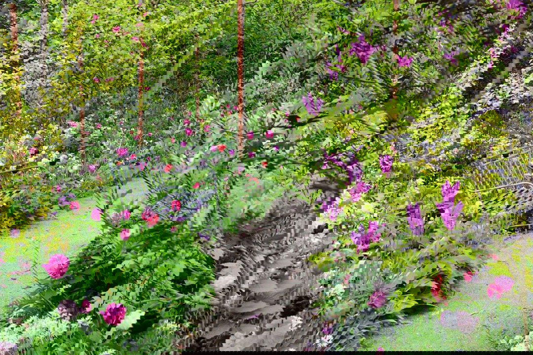 bedet-ved-vejen-header