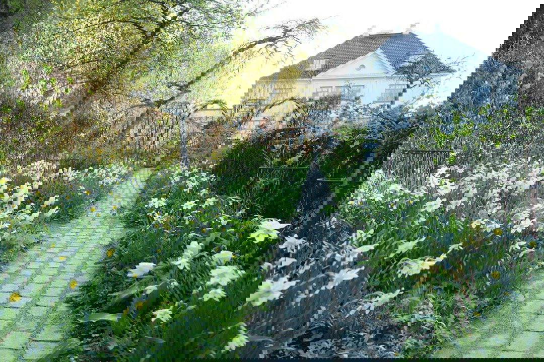 blog-det-hvide-bed-header