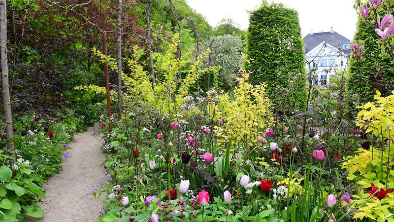 have-bed-dalby-tulipan