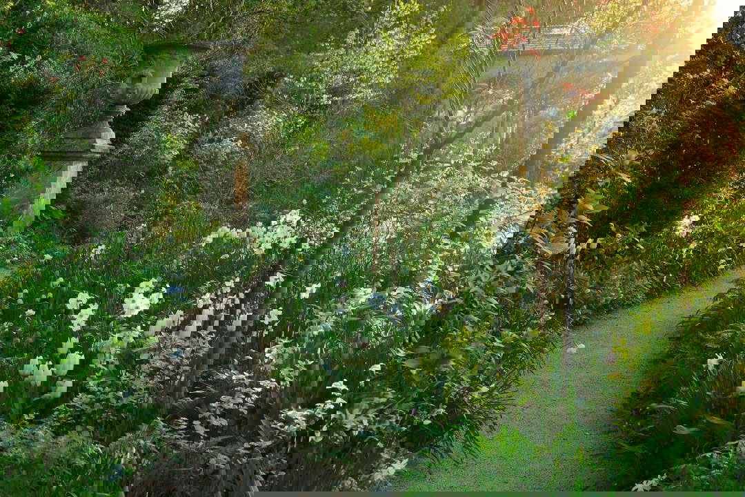 skovhaven-blog-header